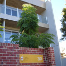 Ronald McDonald House Apartments Design by Hodgkison Adelaide Architects