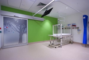 The Memorial Hospital Paediatric Day Stay Recovery Unit Hodgkison Architects Photography by Ross Williams